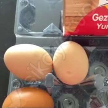 Şok Marketten Alınan "Anadolu Çiftliği" Gezen Tavuk Yumurtası