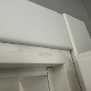 Samsun Temizlik Firması İle Yaşadığım Büyük Hayal Kırıklığı