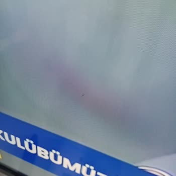 Yeni Alınan TV'de Ölü Piksel Sorunu