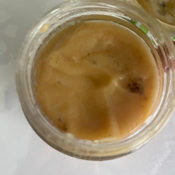 Küflü Kaşık Maması Şikayeti