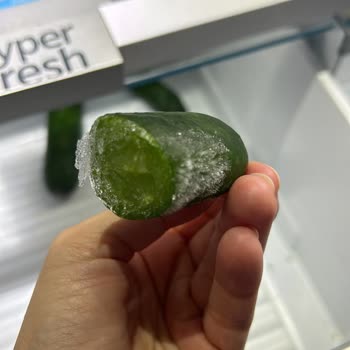 Siemens Buzdolabı: Donmuş Yiyecekler Ve Bitmeyen Sorunlar