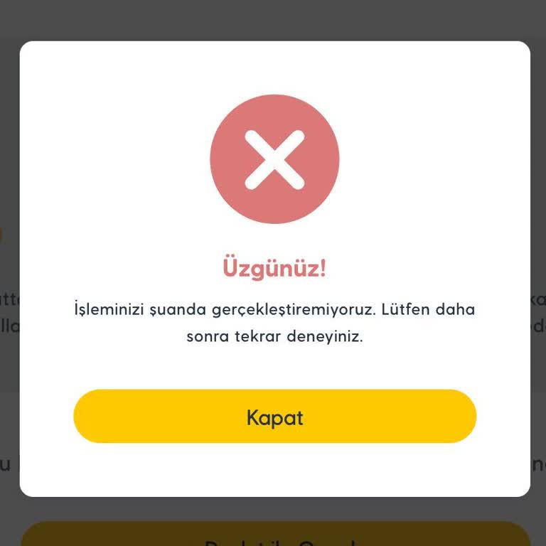 E-Devlet Aktivasyonu Sorunu Ve Yetersiz Destek