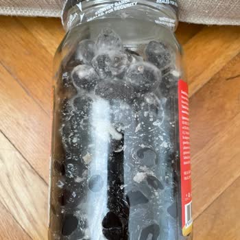 Küflü Zeytin Şoku: Güvendiğim Marka Hayal Kırıklığına Uğrattı