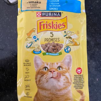 Kedimin Sağlığını Tehlikeye Atan Bozuk Mama