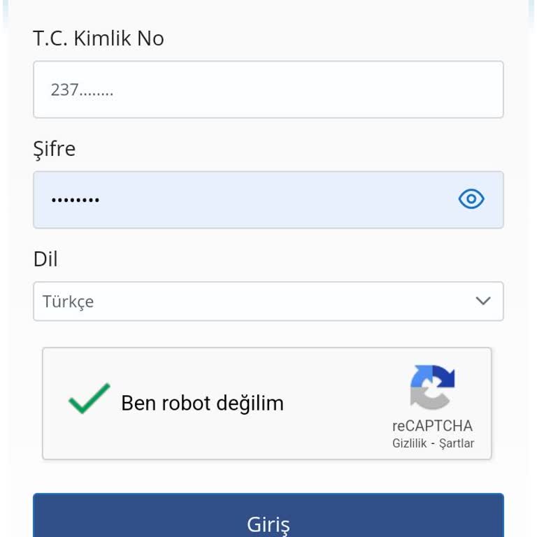 Online Randevu Alamama Sorunu