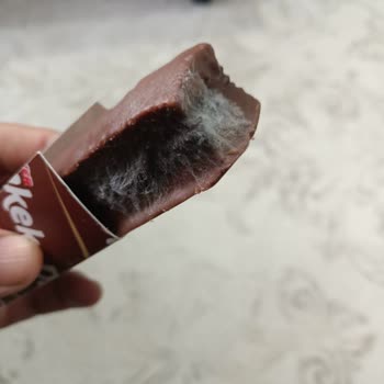 Küflü Ülker Dankek Mouse Kek Şoku