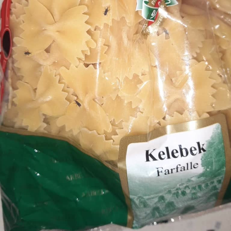 Açılmamış Arbella Makarna Paketinde Böceklenme Şoku!