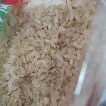 Besintaş Pirinçte Böcek Şoku: Tüketici Sağlığı Tehlikede