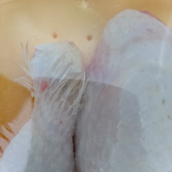 Tavuğun Tüyleriyle Satılması Müşteriyi Şaşırttı