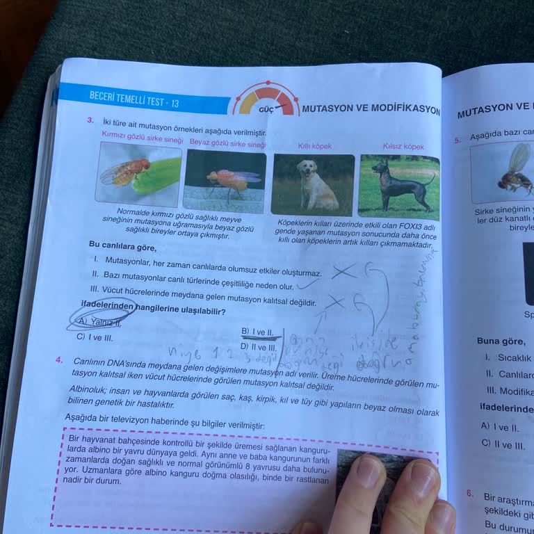 Sınav Sorularındaki Yanıltıcı İfadelerle Mücadele