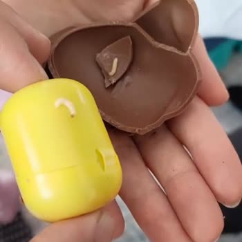 Çocukların Tükettiği Üründe Kurt Şoku