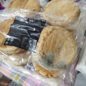 Küflü Hamburger Ekmeği Şoku