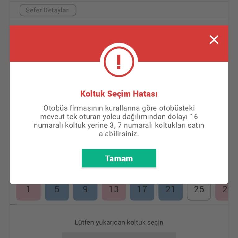 Cinsiyet Eşitsizliği: Cam Kenarı Koltuk Sorunu