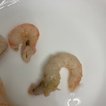 A101'den Alınan Karideslerde Temizlik Ve Koku Sorunu