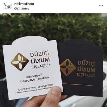 Yanlış Adrese Gönderilen Kart Siparişi