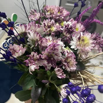 Çiçek Sepeti'nde Hayal Kırıklığı: Pembe Papatya Krizi