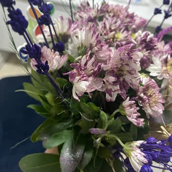 Çiçek Sepeti'nde Hayal Kırıklığı: Pembe Papatya Krizi