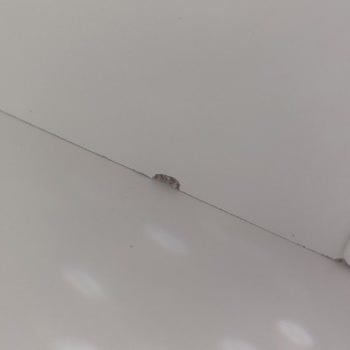 Mobilya Alışverişinde Yaşanan Sorunlar