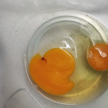 Yumurtada Kan: Mağduriyetimin Giderilmesini İstiyorum