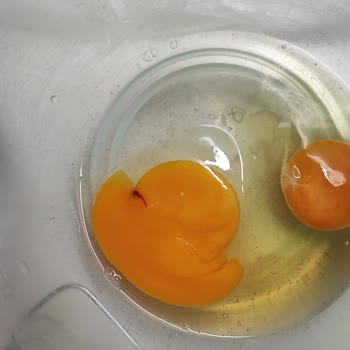 Yumurtada Kan: Mağduriyetimin Giderilmesini İstiyorum