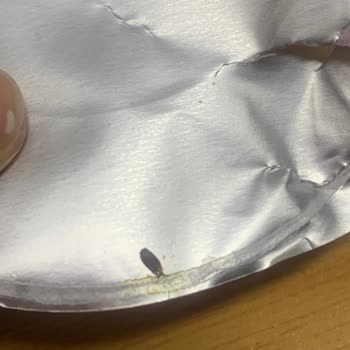 Noodle Paketinde Böcek Şoku!