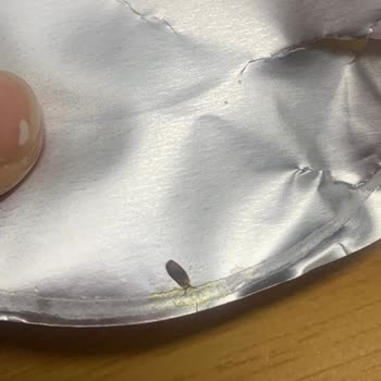 Noodle Paketinde Böcek Şoku!