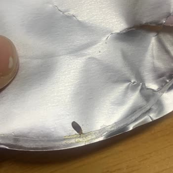 Noodle Paketinde Böcek Şoku!