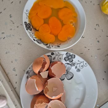 Bozuk Organik Yumurtalarla Karşılaştım