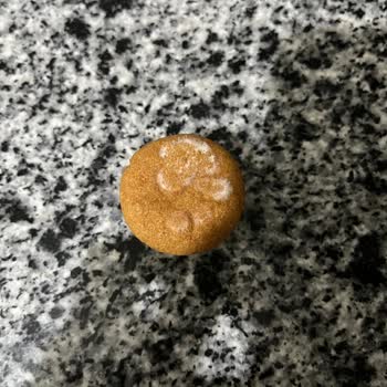 Güvendiğimiz Markadan Küflü Kek Şoku