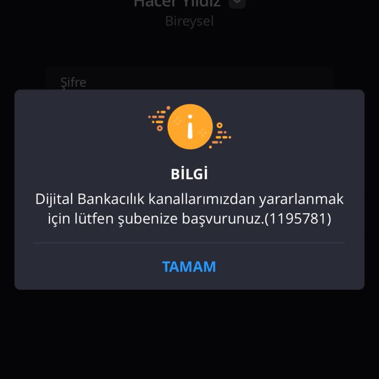 Dijital Bankacılık Erişim Sorunu Ve Yetersiz Destek