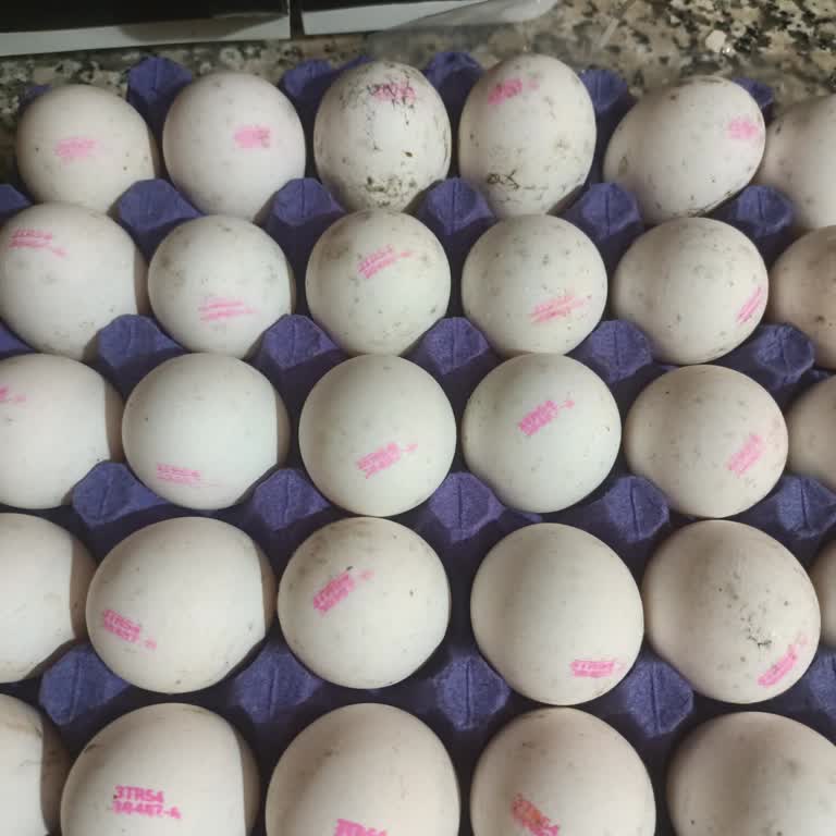 Küflü Yumurtalarla Karşılaştık: Sorumsuzluk Mu?