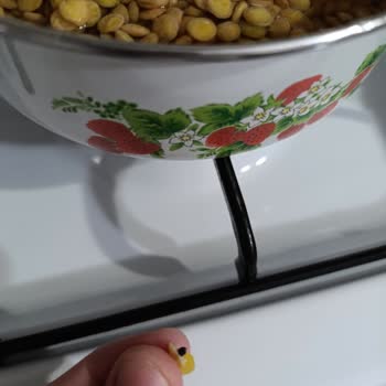 Aldığım Yeşil Mercimek Böcekli Çıktı