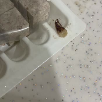 Çekme Helvada Şok Edici Yabancı Madde