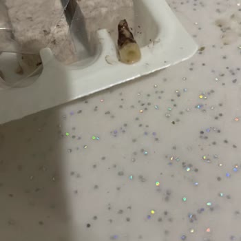 Çekme Helvada Şok Edici Yabancı Madde