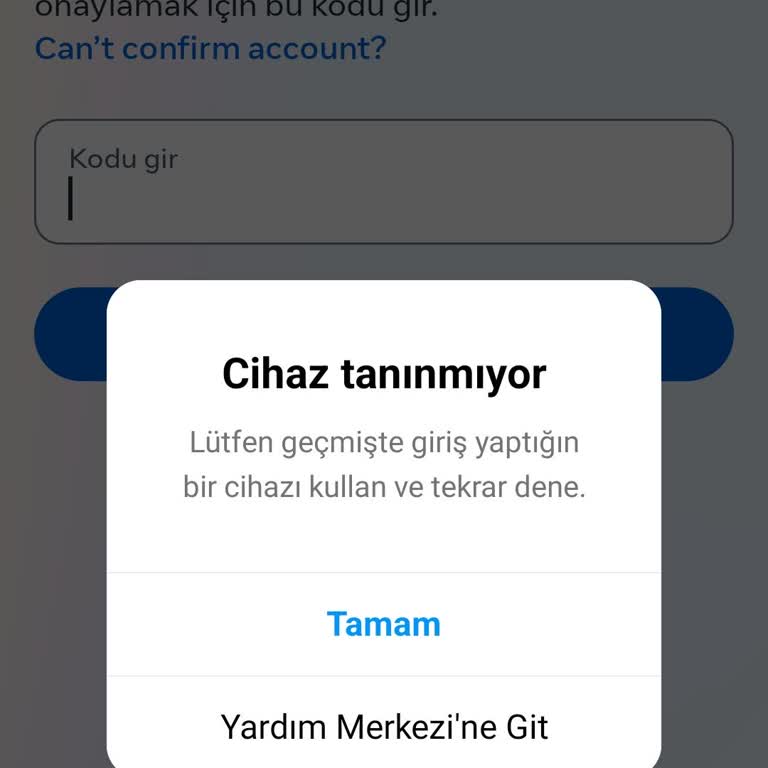 Instagram Hesabıma Erişim Sağlayamıyorum, Yardım Bekliyorum
