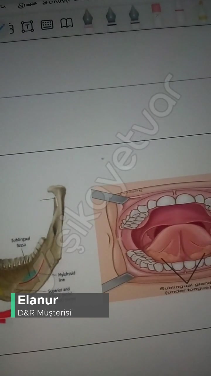 D&R Müşteriden Nefret Eder! videonun kapak resmi