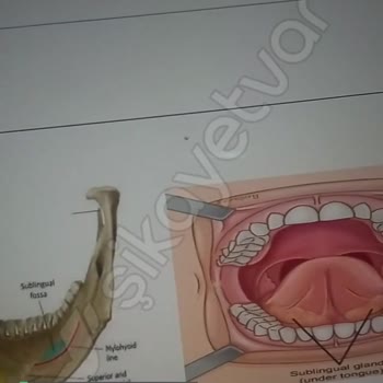 D&R Müşteriden Nefret Eder!