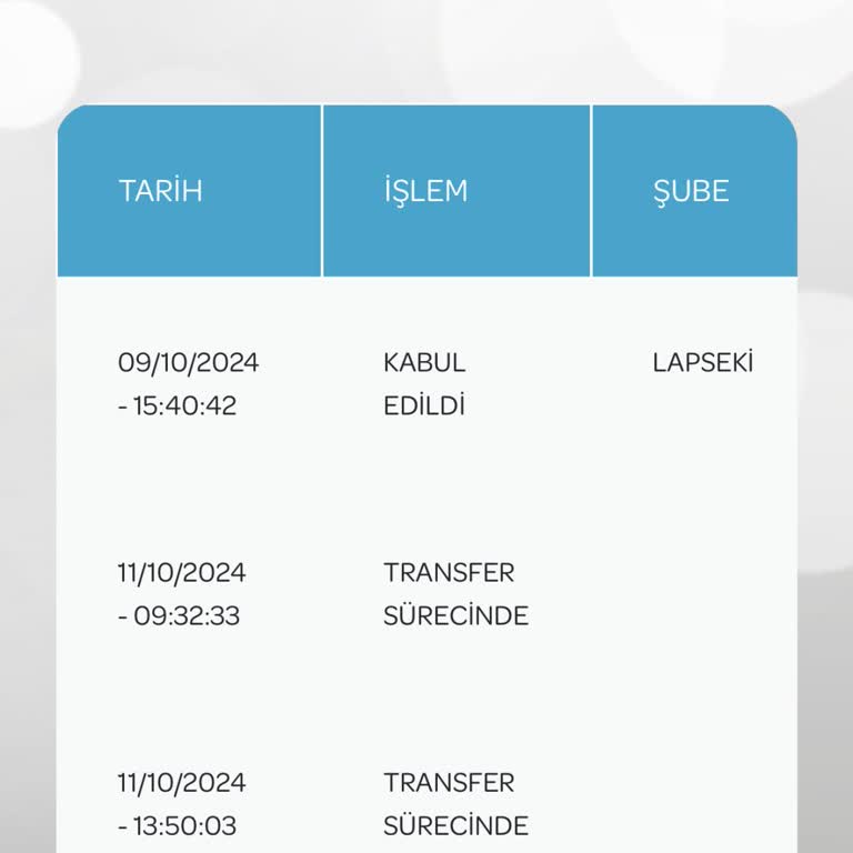 PTT Kargo İle Kaybolan Diplomam