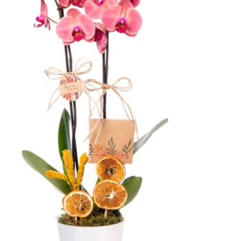 Yanlış Renk Orkide Teslimatı Ve İletişim Sorunları