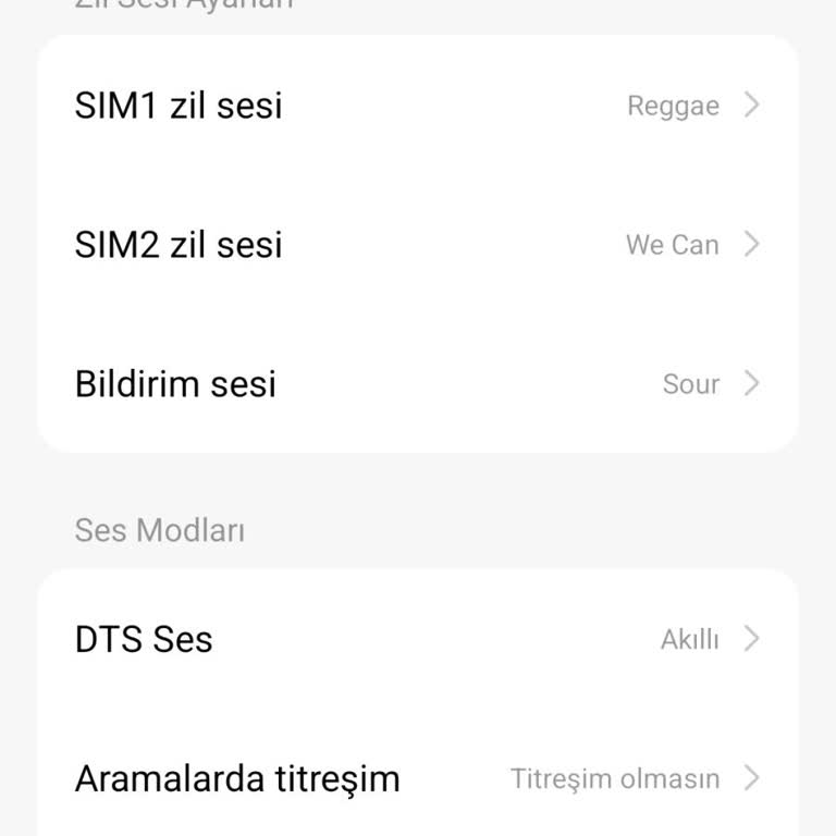 Güncelleme Sonrası Titreşim Sorunu