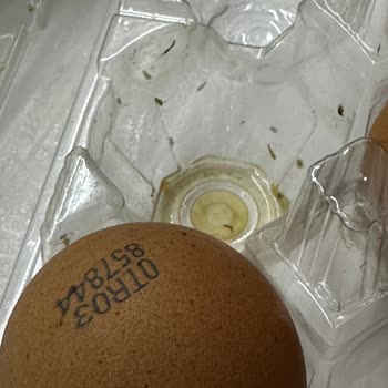 Bozuk Yumurta Sorunu: Onur Market'te Güven Sarsılıyor