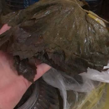 Aldatıcı Reklamla Gelen Hayal Kırıklığı