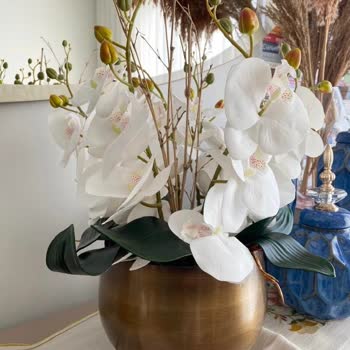 Lilóte Home İade ve Fatura Yok