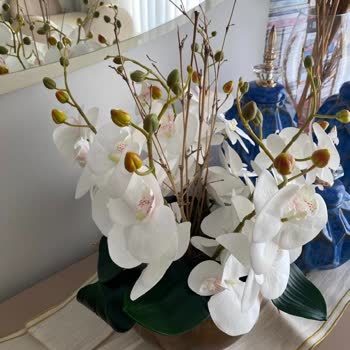 Lilóte Home İade ve Fatura Yok