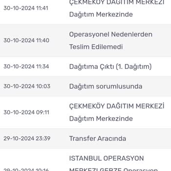 Yanlış Beyanlarla Ertelenen Kargo Teslimatı