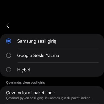 Samsung Klavyede Ses Girişi Sorunu