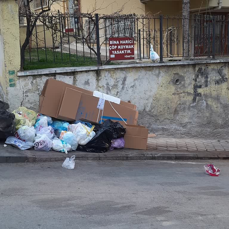 Apartman Önüne Çöp Konteyneri İstemi