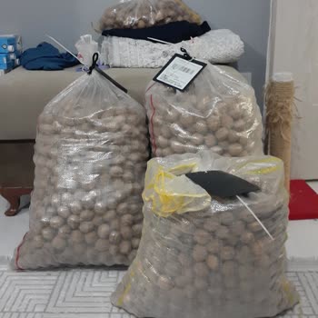 Kargo Çuvallarındaki Cevizlerin Eksilmesi Ve İlgisizlik