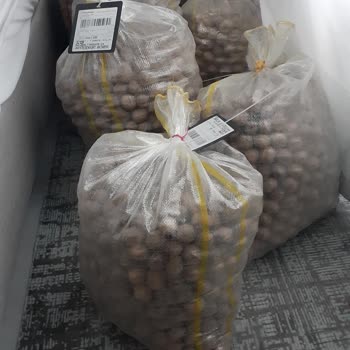 Kargo Çuvallarındaki Cevizlerin Eksilmesi Ve İlgisizlik