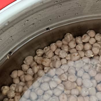 Migros Nohut Paketinden Çıkan Böcekler Şoku!